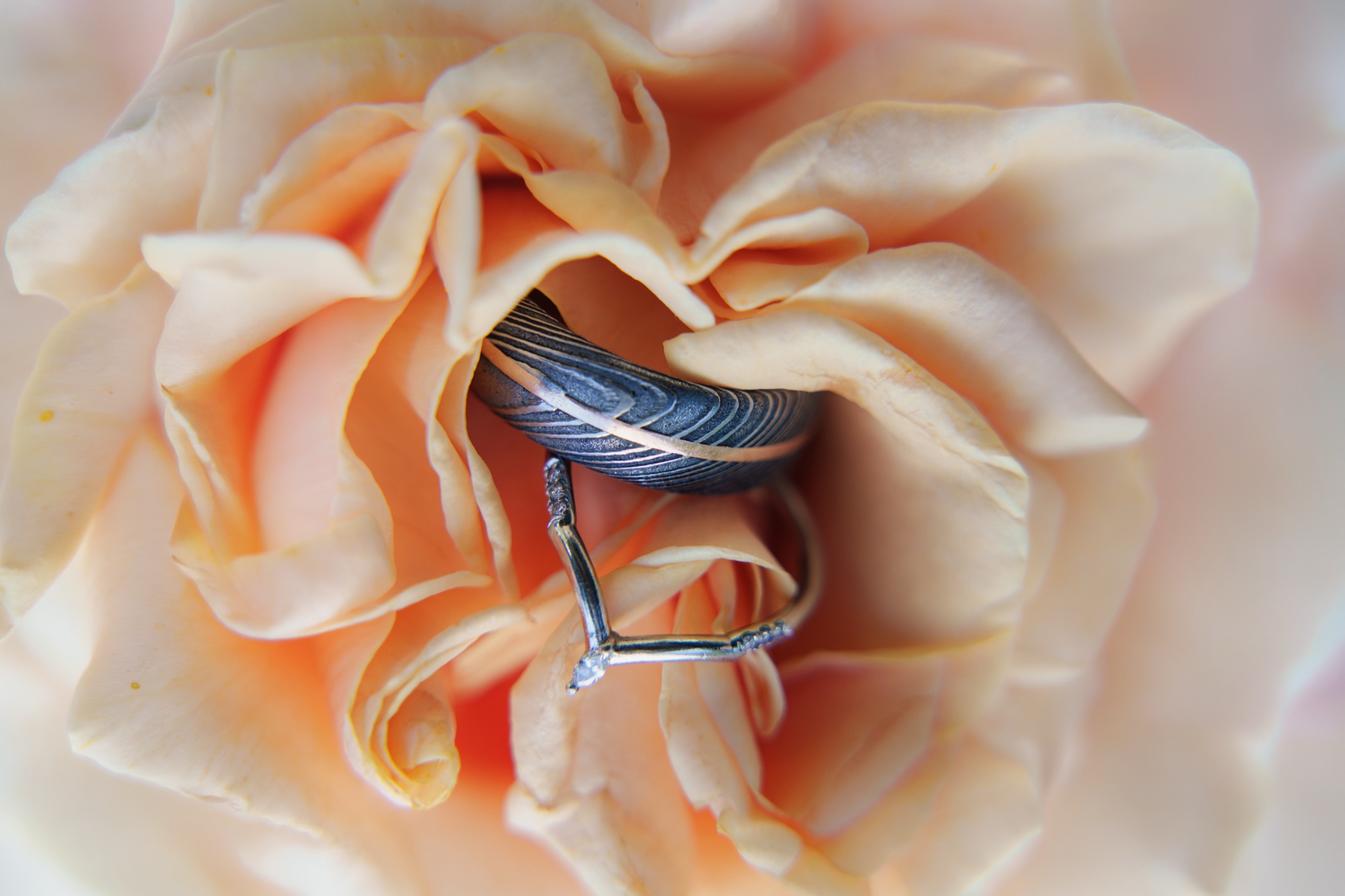 Wedding ring detail
